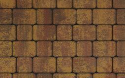 Плиты бетонные тротуарные Выбор КЛАССИКО - А.1.КО.4 Листопад гл осень