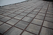 Плиты бетонные тротуарные Выбор КВАДРАТ - Б.5.К.6 Стандарт белый - 2