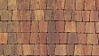 Плиты бетонные тротуарные Выбор АНТИК - Б.2.А.6 Листопад гл осень